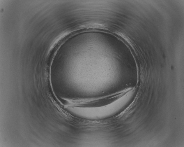 X0000067531115200604281652