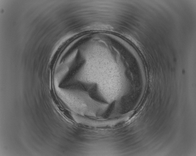X0000067531123200604281652