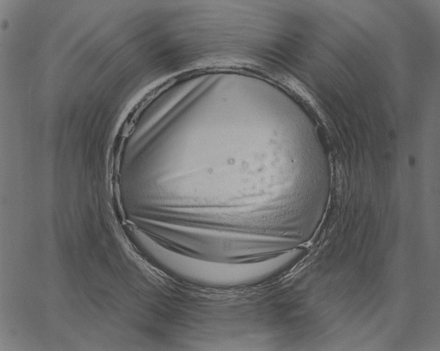 X0000067531124200604281652