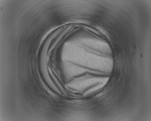 X0000067531127200604281653