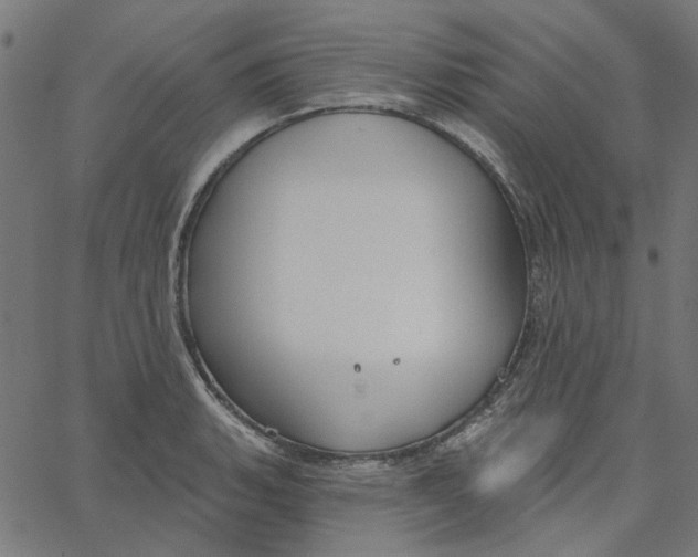 X0000067531135200604281653