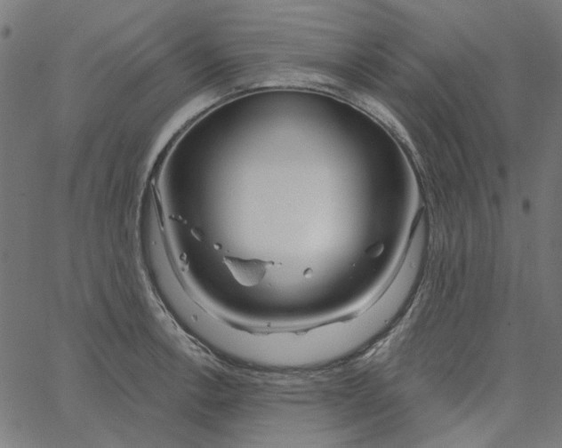 X0000067531138200604281653