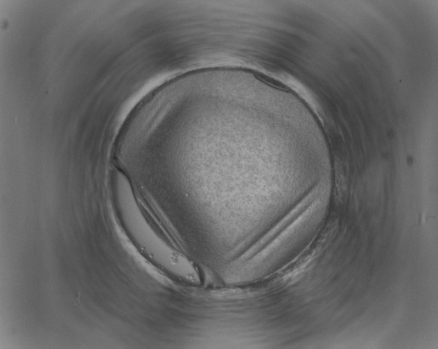 X0000067531142200604281653