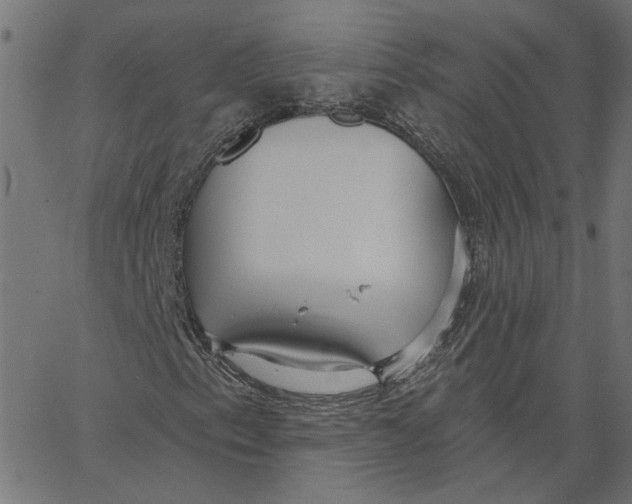 X0000067531153200604281652