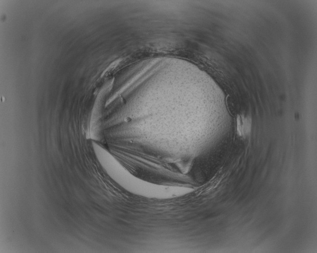 X0000067531155200604281652