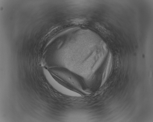 X0000067531158200604281652
