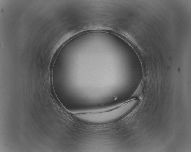 X0000067531173200604281652