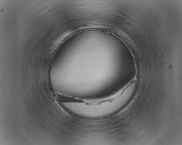 X0000067531177200604281652