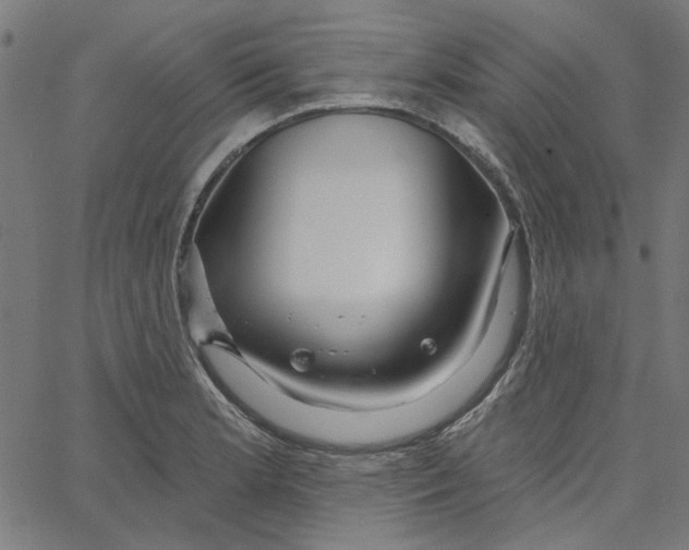 X0000067531181200604281652