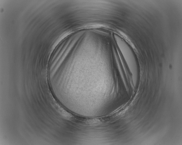 X0000067531186200604281652