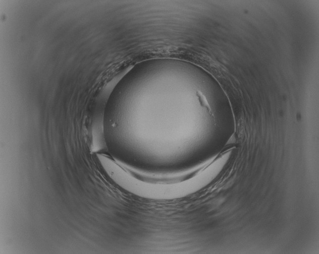 X0000067531202200604281651