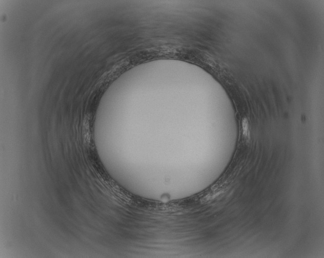 X0000067531203200604281651