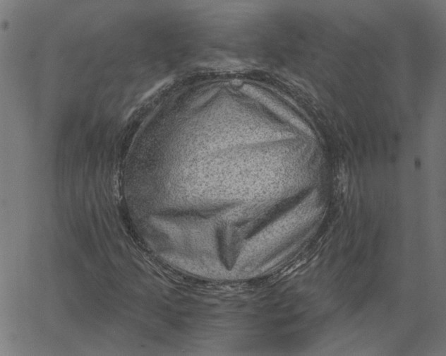 X0000067531205200604281651