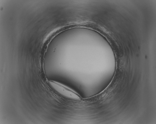 X0000067531214200604281651