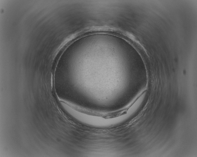 X0000067531221200604281651