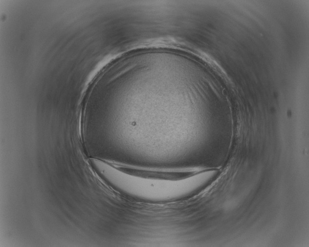 X0000067531224200604281651
