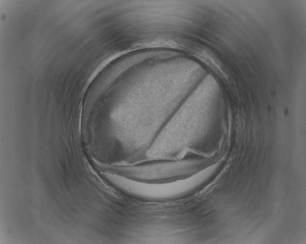 X0000067531228200604281651