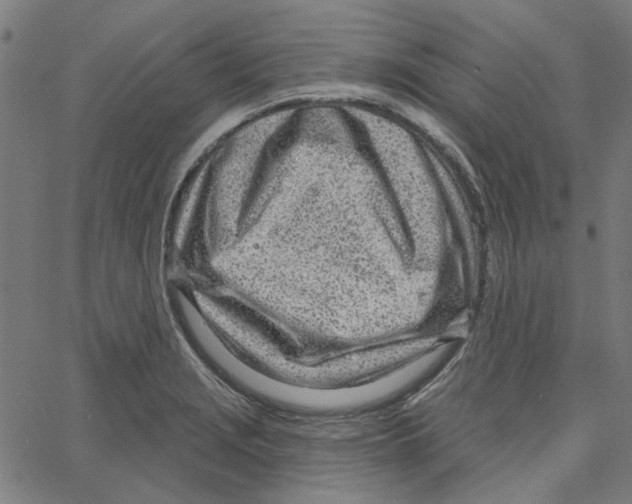 X0000067531229200604281651