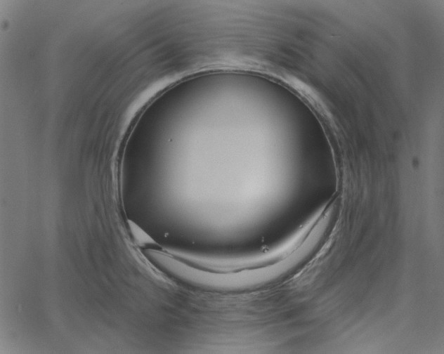 X0000067531238200604281651