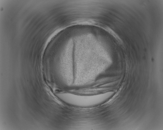 X0000067531240200604281651