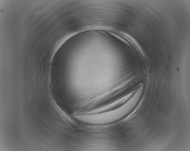 X0000067531244200604281651