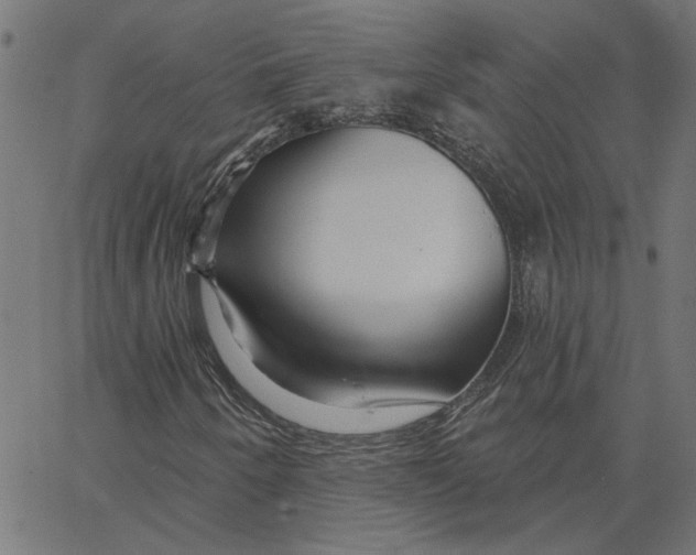 X0000067531250200604281650