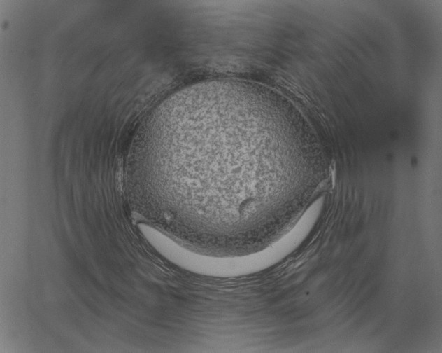 X0000067531251200604281650