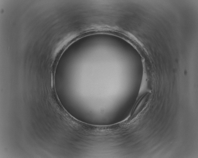 X0000067531269200604281650