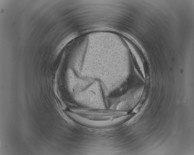 X0000067531289200604281650