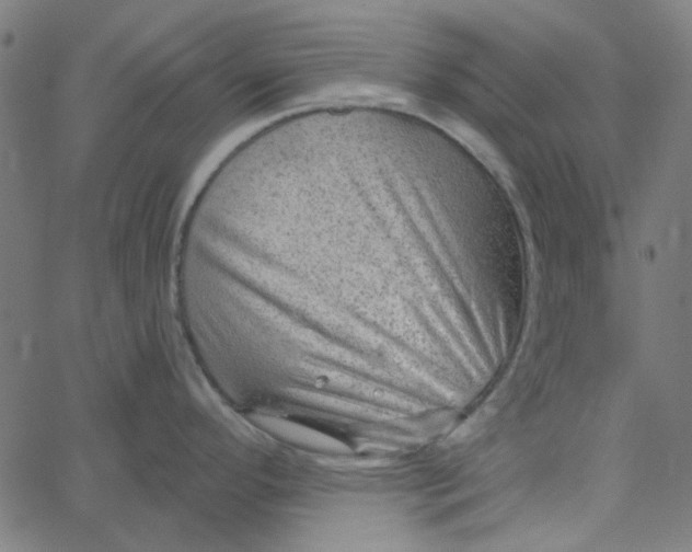 X0000067531296200604281650