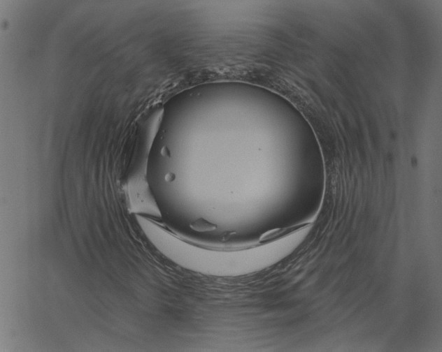 X0000067531298200604281649