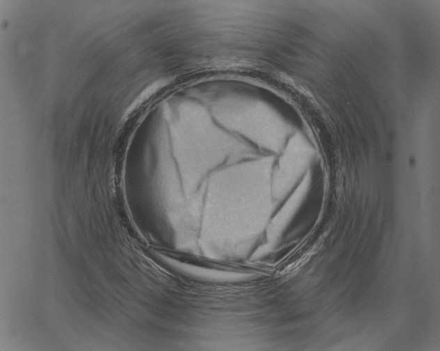 X0000067531306200604281649