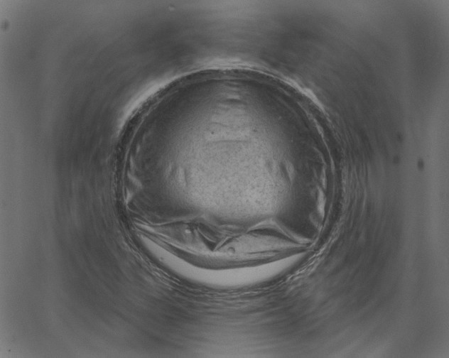 X0000067531311200604281649