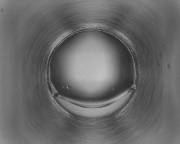 X0000067531330200604281650