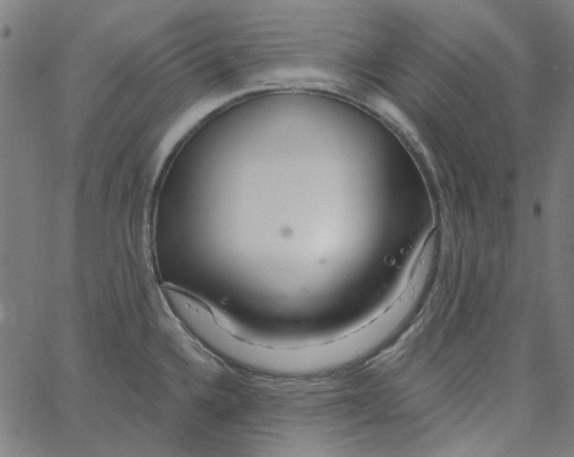 X0000067531336200604281650