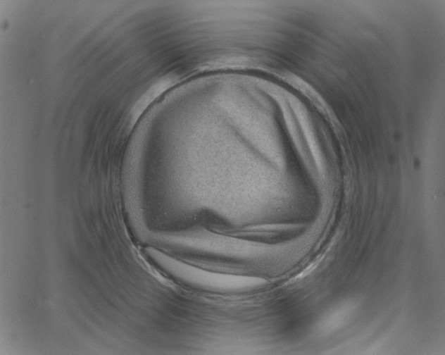 X0000067531337200604281650