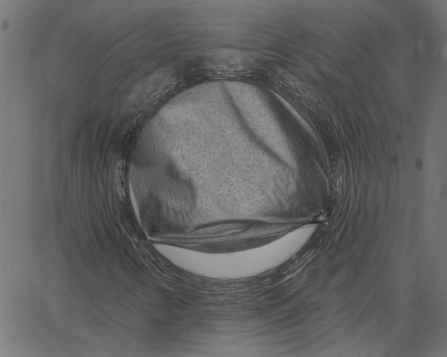 X0000067531346200604281649