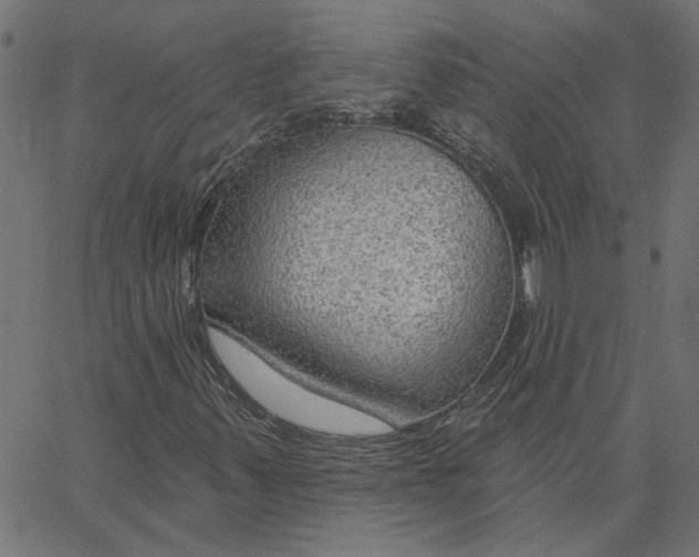 X0000067531347200604281649