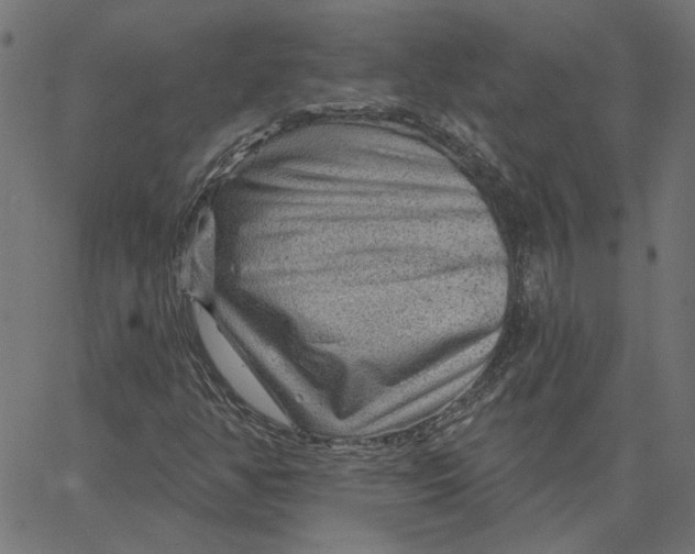 X0000067531350200604281649
