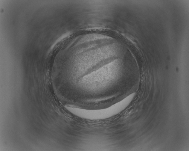X0000067531351200604281649
