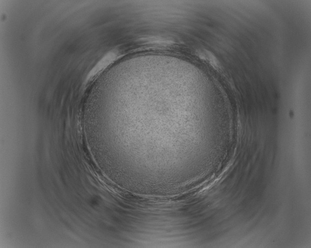 X0000067531354200604281649