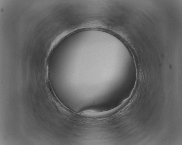 X0000067531366200604281649