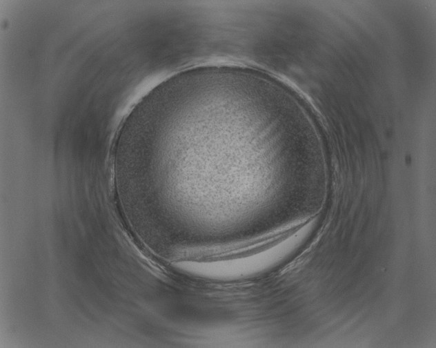 X0000067531367200604281649