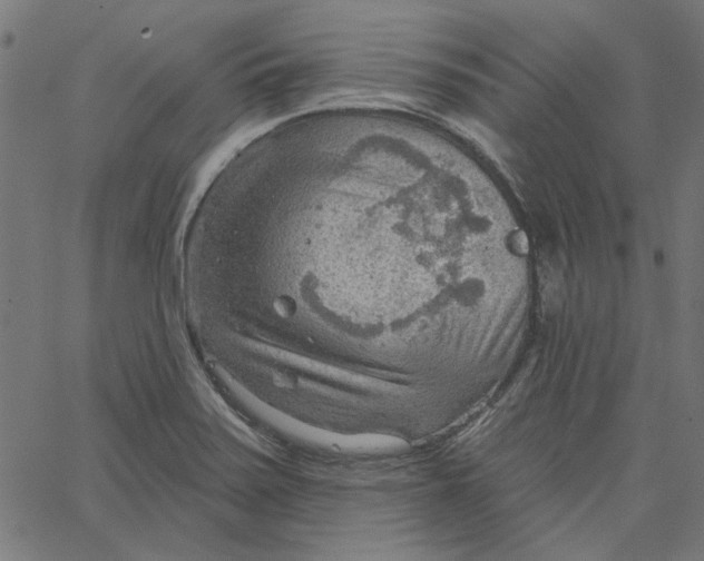 X0000067531371200604281649