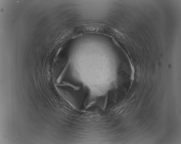 X0000067531394200604281647