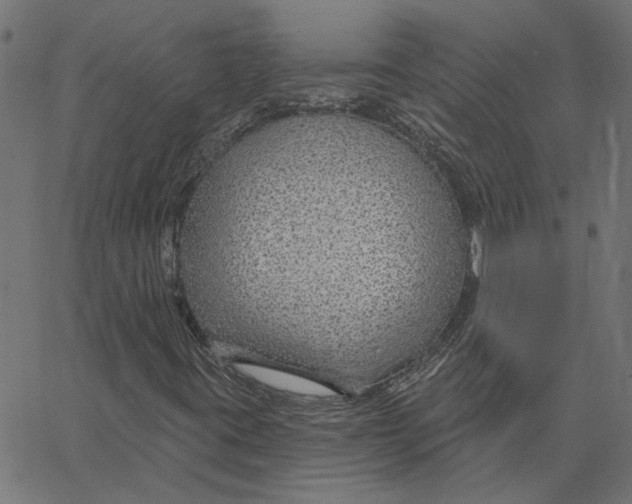 X0000067531395200604281647