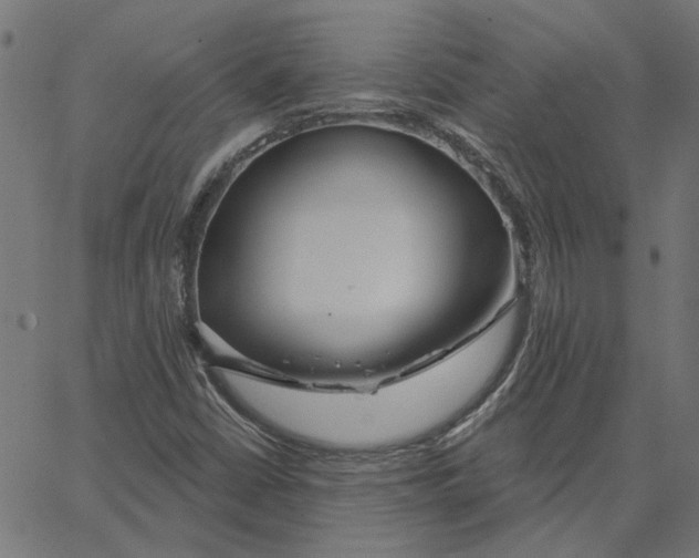 X0000067531402200604281647