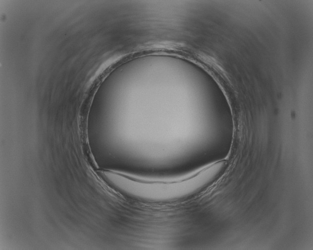 X0000067531404200604281647
