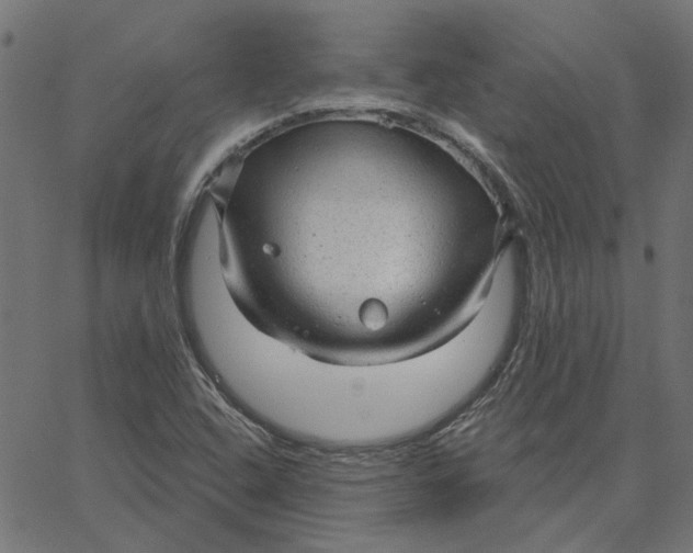 X0000067531408200604281648