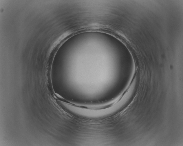 X0000067531410200604281648